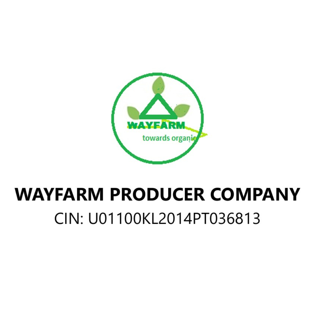 WEBSITE POSTER DESIGN (27)